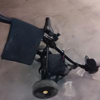 carrello elettrico da golf