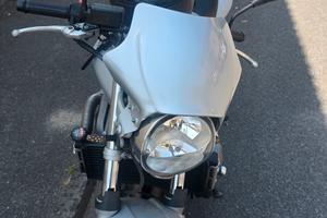 hornet 2006