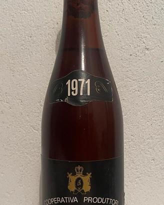 bottiglie vino collezione 