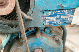 Motore entro bordo WM 10 cv