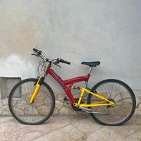 Bicicletta Kayak Extreme vintage