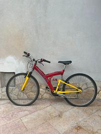 Bicicletta Kayak Extreme vintage