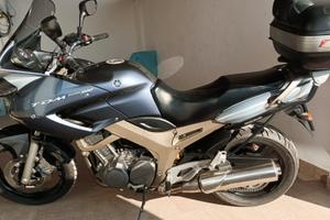 Yamaha TDM 900