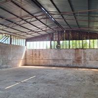 Capannone - Perfetto per diversi usi