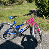 Bici mountain bike Frejus