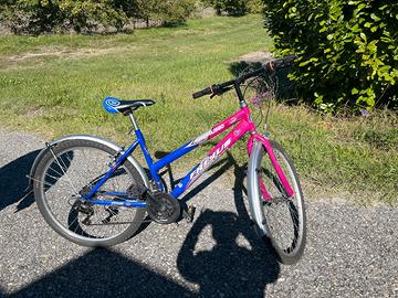 Bici mountain bike Frejus