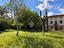 Immagine 7