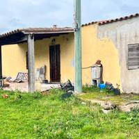 Vendita Azienda Agricola