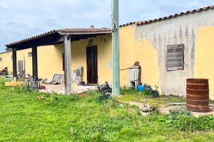 Vendita Azienda Agricola