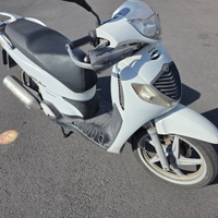 Colre bianco con protezi sh 125 sempre tagliandato