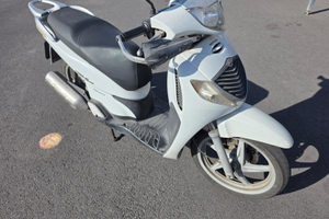 Colre bianco con protezi sh 125 sempre tagliandato