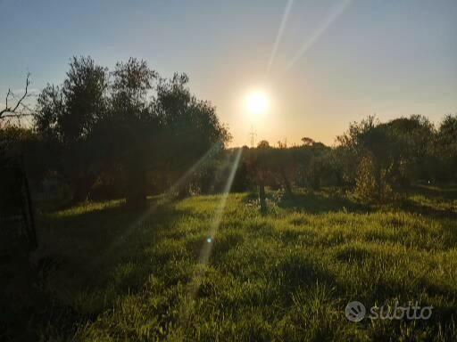 Lotto meraviglioso vicino Guidonia centro