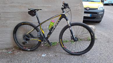 MTB Speed in Carbonio