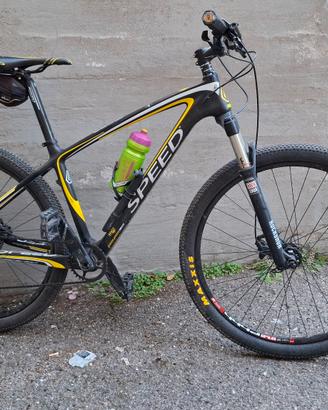 MTB Speed in Carbonio