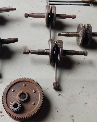Fantic motor p6