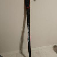 Canna bolognese Olympus