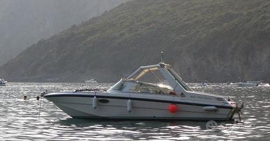 barca motore entrofuoribordo