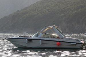 barca motore entrofuoribordo