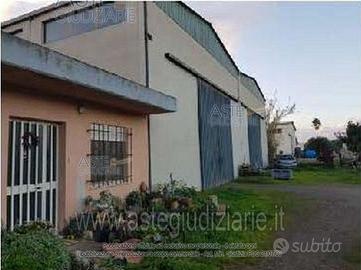 Capannone Industriale Nurachi [A4328919]