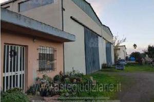 Capannone Industriale Nurachi [A4328919]