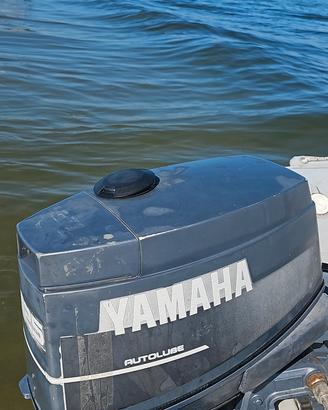 fuoribordo yamaha 25j autolube 2t