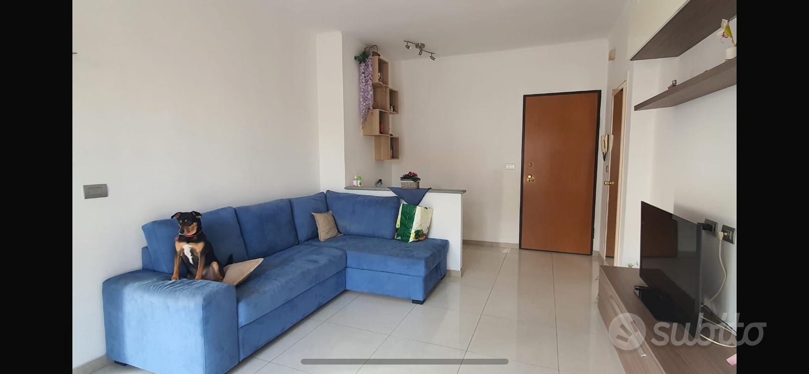 Appartamento – Grugliasco, Torino - Vista 5