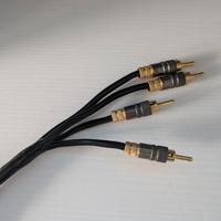 cavo audio audioquest hi end biwring 