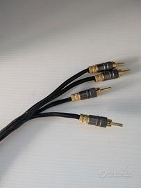 cavo audio audioquest hi end biwring 
