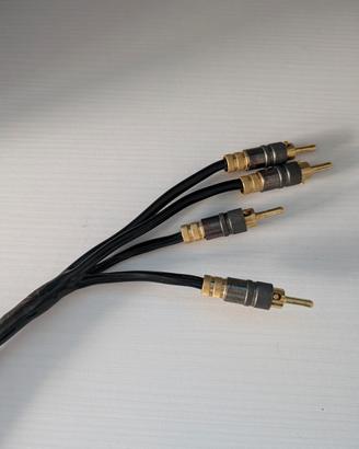 cavo audio audioquest hi end biwring 
