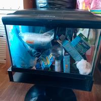 Acquario Cayman 