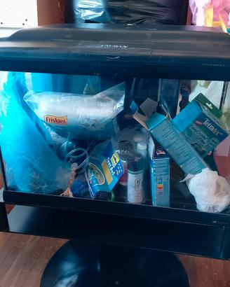 Acquario Cayman 