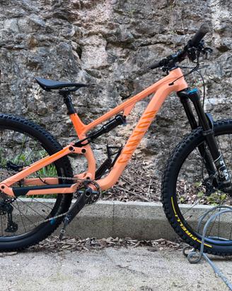 Canyon Neuron 6
