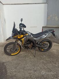 Voge Rally 300 - 2023