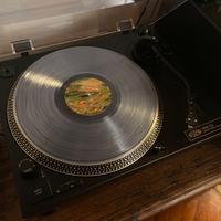 Lettore di dischi in vinile Vestlyd Pro t2
