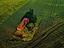 Immagine 11