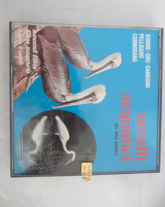 Filmino lungometraggio super 8 color sonoro