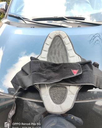 Guscio Dainese 