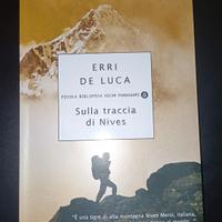 Sulla traccia di Nives - Erri De Luca