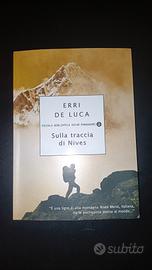 Sulla traccia di Nives - Erri De Luca