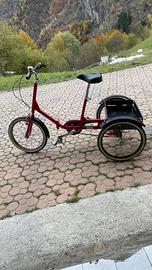 Triciclo (Cycle) per adulti