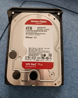 nas zyxel 