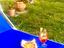 Immagine 12