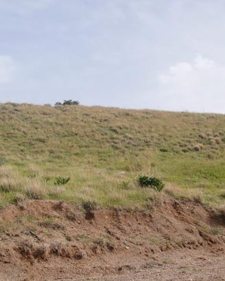 Bocale SS 106