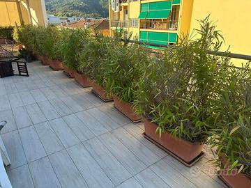 20 fioriere 70x35 con bambù e sottovasi