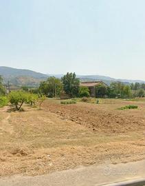 Terreno industriale mx1