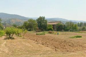 Terreno industriale mx1