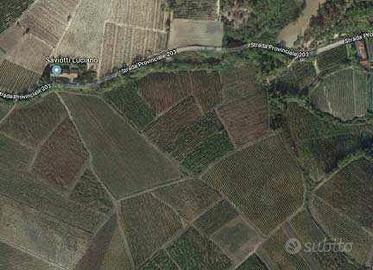 RGE 628/2018 Trib Pavia - LOTTO 7