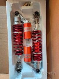 Ammortizzatori posteriori moto RFY 