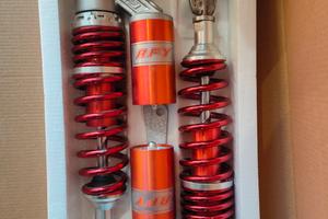 Ammortizzatori posteriori moto RFY 