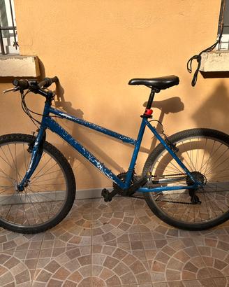 Bicicletta